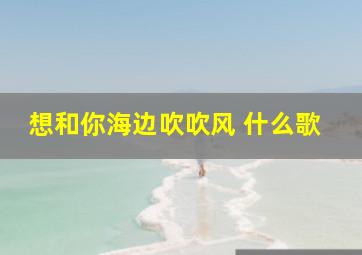 想和你海边吹吹风 什么歌